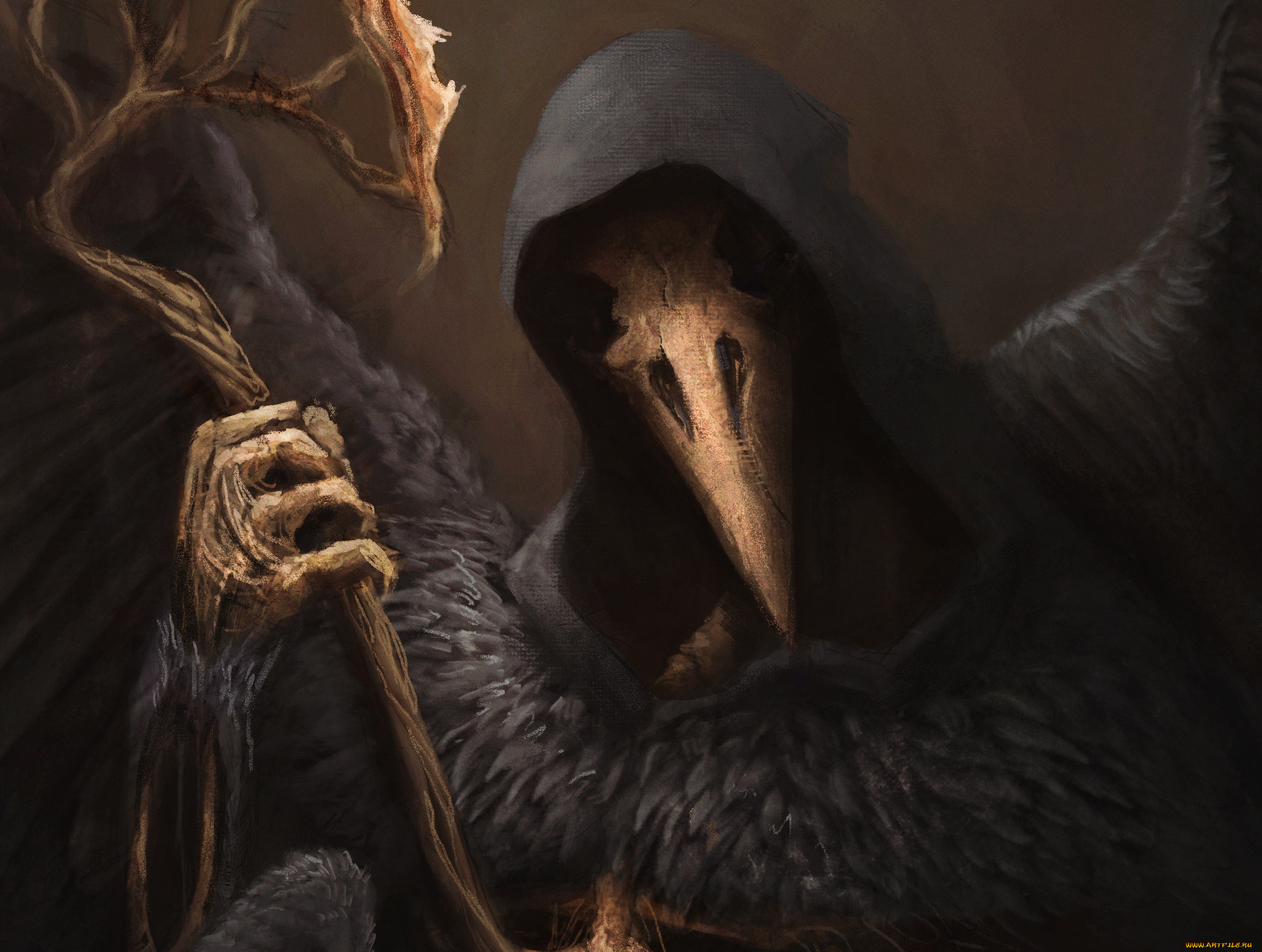 , , , raven, lord, , , 